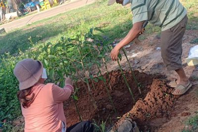 Hưởng ứng phong trào “Tết trồng cây đời đời nhớ ơn Bác Hồ”